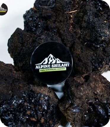 Alpine Gold Grade Shilajit  Premium