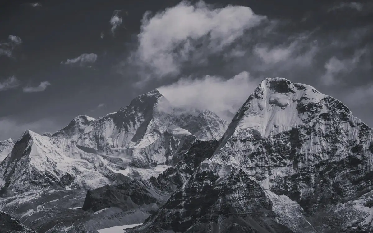 Buy Organic Shilajit Online